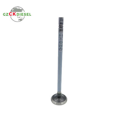 Katup Asupan 4016438 3800955 3641540 untuk Mesin Diesel QSK45 QSK60