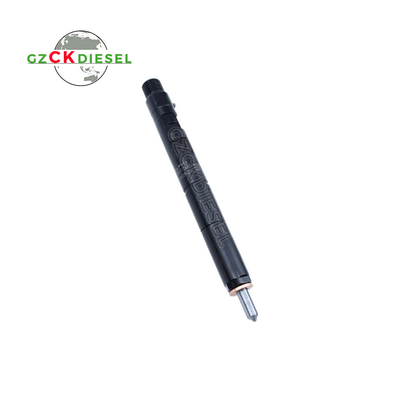 Injektor Bahan Bakar Diesel EJBR04001D 166009384R untuk Mesin Delphi