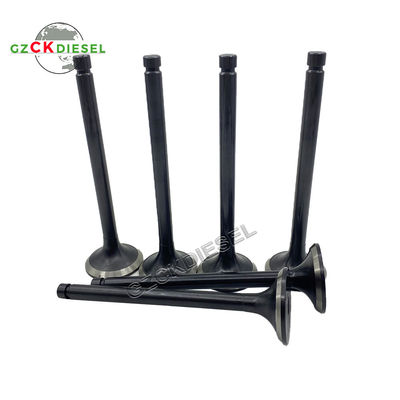 Katup Buang ME051073 ME051697 Katup Masuk ME051063 untuk Mesin Mitsubishi 6D22 6D22T